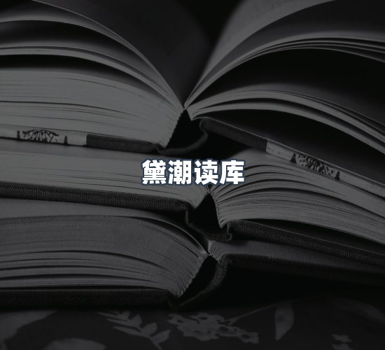 关于黛潮读库